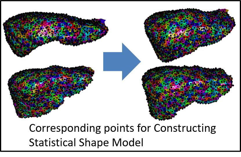 High Speed Computation of Large Deformation Diffeomorphic Metric Mapping of Abdominal Organs